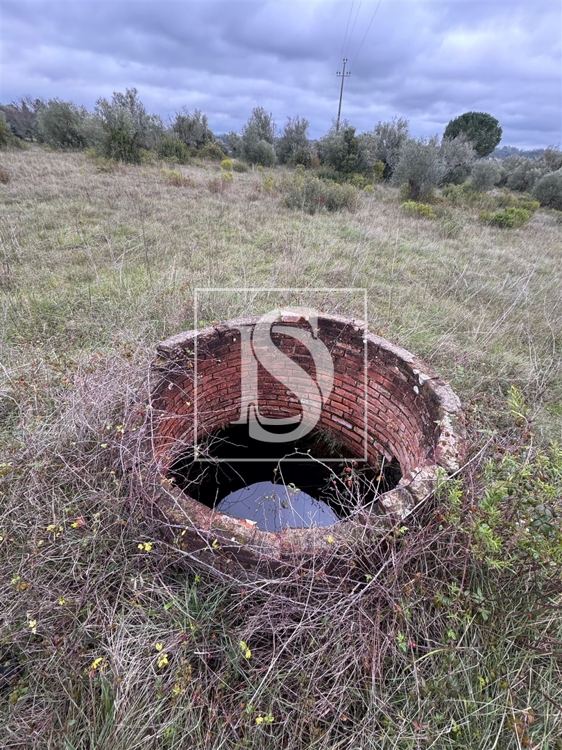 Terreno