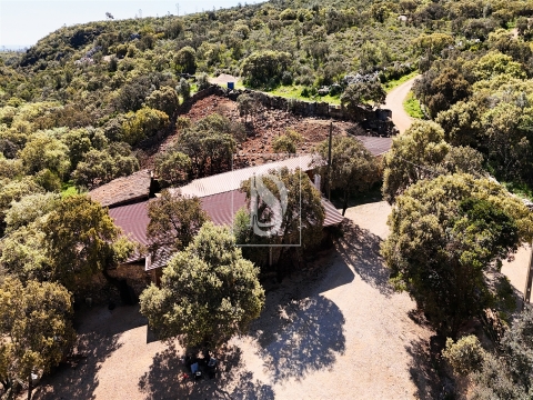 Quinta