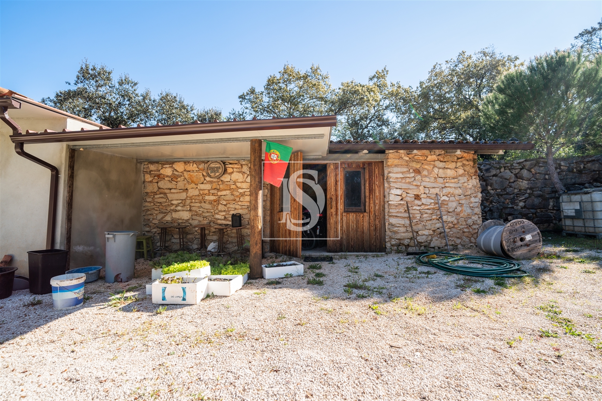 Quinta