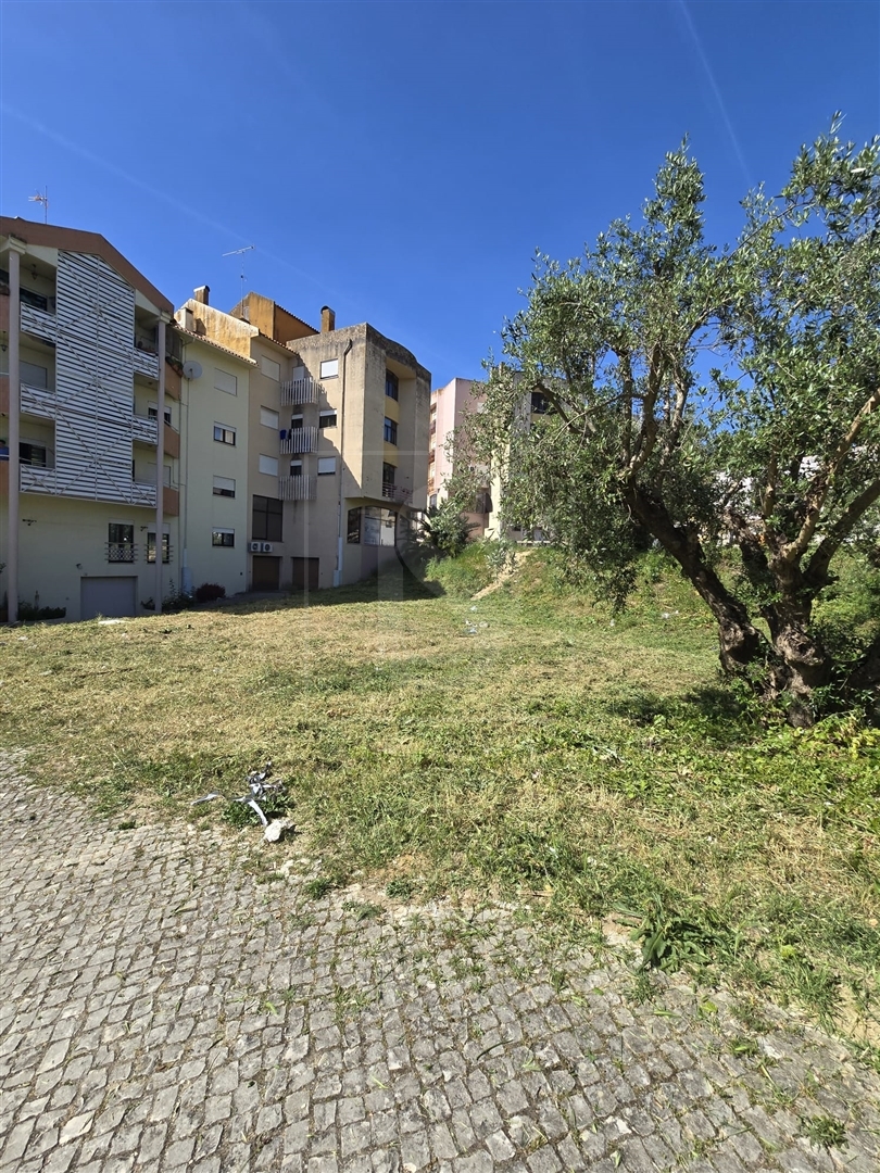 Lote de Terreno