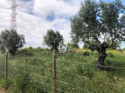 Terreno Para Construção