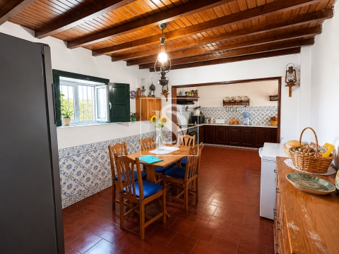 Moradia T4 com Garagem e Terreno de 875 m² na Golegã