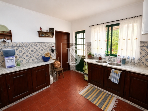 Moradia T4 com Garagem e Terreno de 875 m² na Golegã