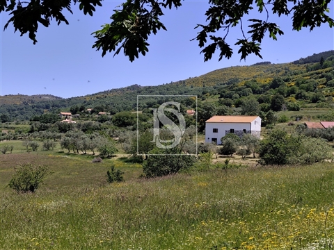 Moradia Isolada T4