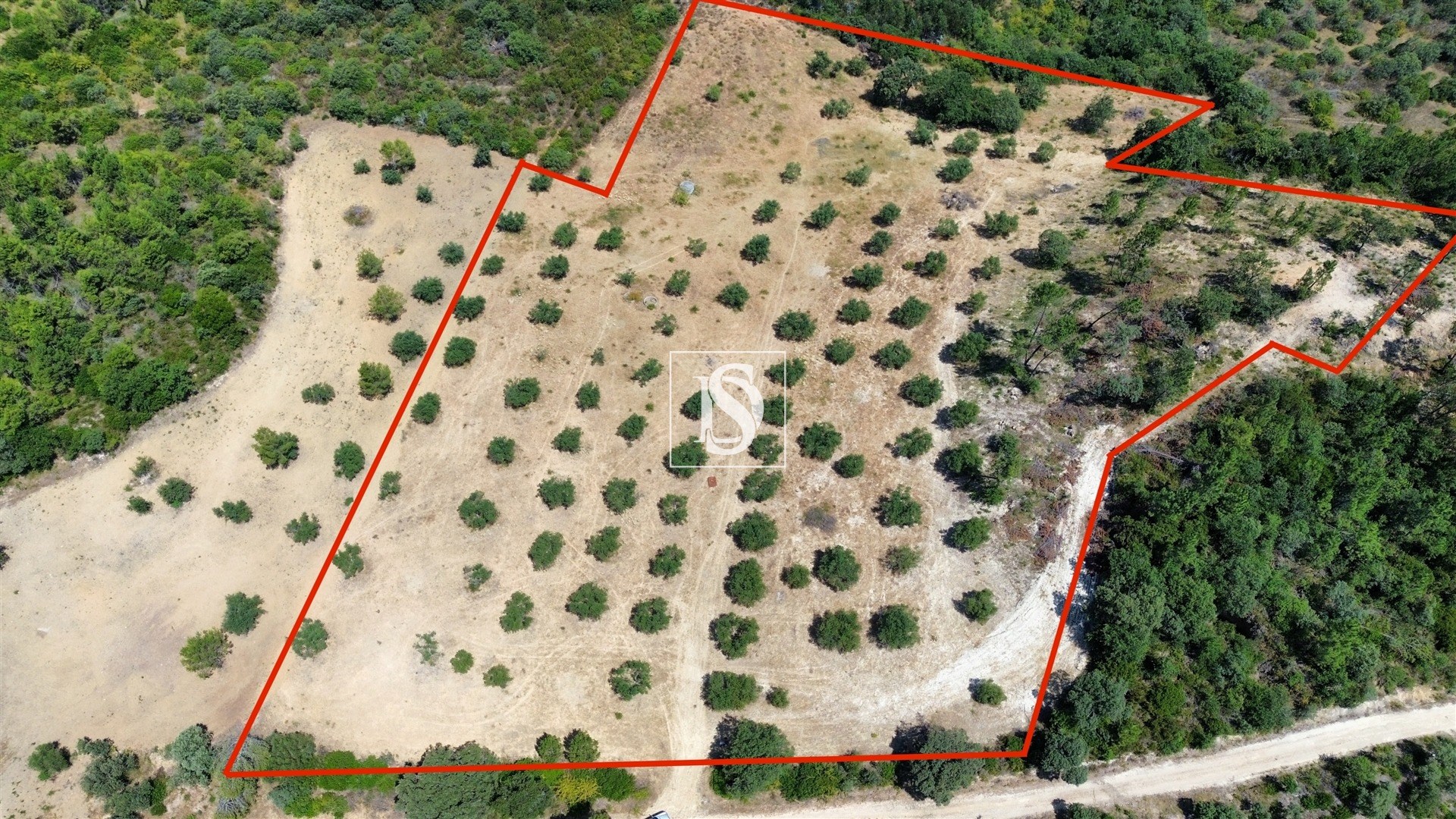 Terreno