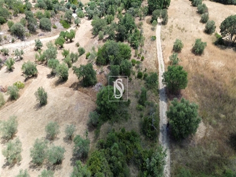 Terreno Rústico