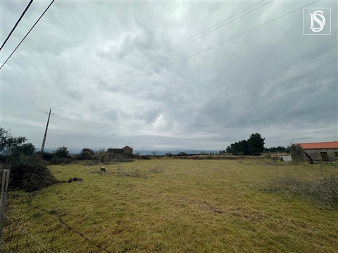 Terreno Rústico com Potencial Urbano | Atalaia do Campo